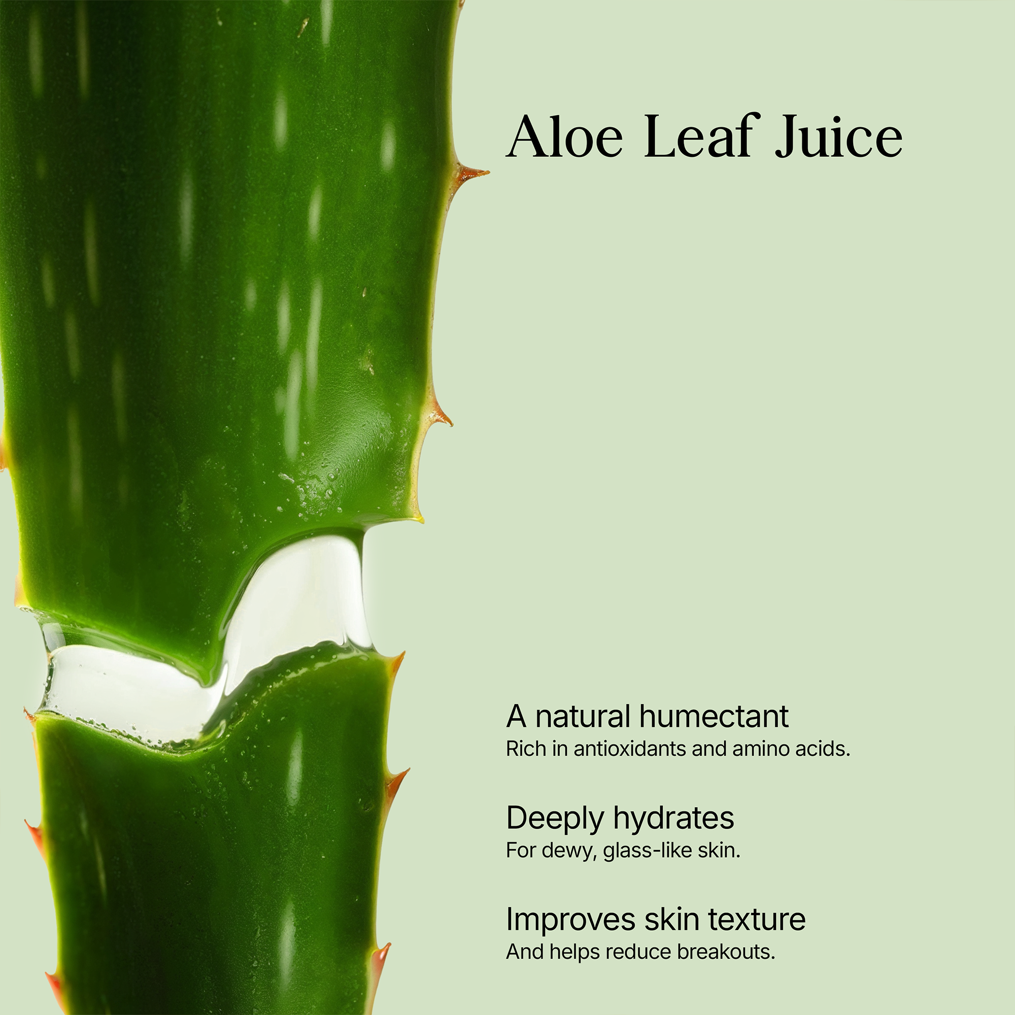 Foaming Oil Cleanser