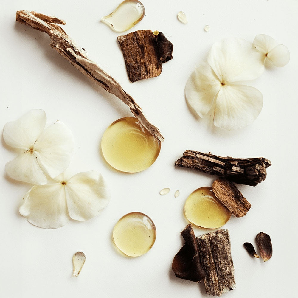 High Healing Whipped Grass-Fed Tallow Balm with Vanilla Bean