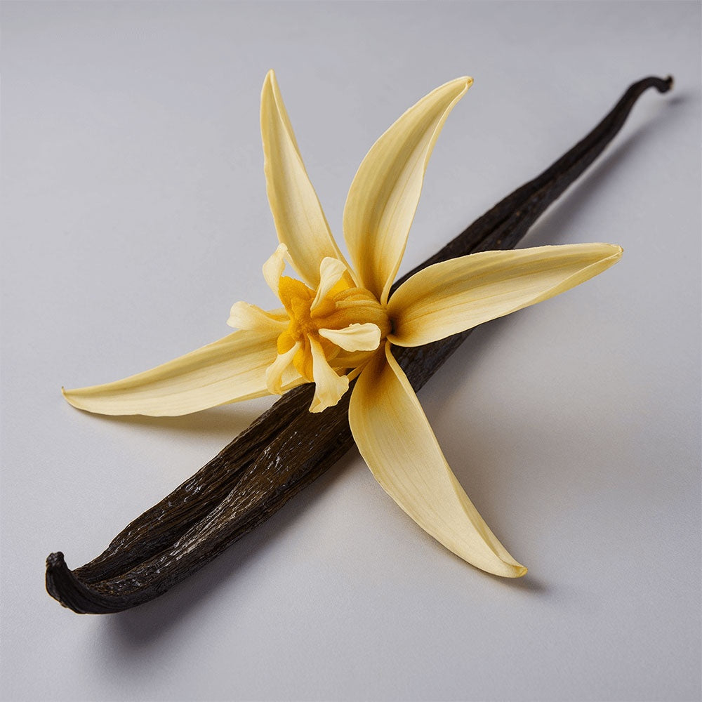 High Healing Whipped Grass-Fed Tallow Balm with Vanilla Bean