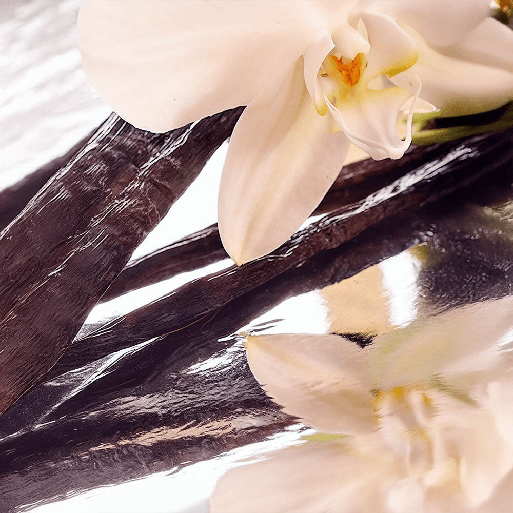 High Healing Whipped Grass-Fed Tallow Balm with Vanilla Bean